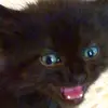 Kaidenhunter - @kaiden_huter - TikTok