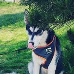 kaiden jay bowskill - @kaidenjayb - Instagram