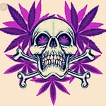 Sparta - @kaiden.jayden - Instagram