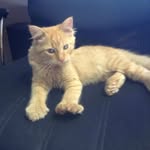 Kaiden Johnson - @kaiden._.johnson - Instagram
