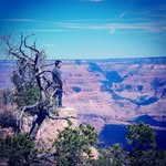 Kaiden Johnston - @sirknightfox - Instagram