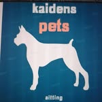 kaiden - @kaiden_kanes_pet_sitting - Instagram