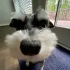KaidenT.Kim - @kaident.kim - TikTok
