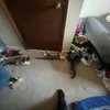 kaidenlee0 - @kaidenlee0 - TikTok