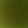 Kaiden - @kaiden.lowe - TikTok