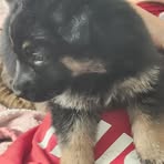 Kaiden Martin - Facebook