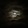 Kaiden Martin - @kaiden._.420 - TikTok