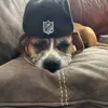 Kaiden moore - @diddler123456789 - TikTok