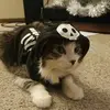 Kaiden Nash - @kaiden.nash - TikTok