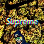 Kaiden Olsen - @kaiden.3805 - Instagram