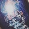kaiden.olsen3805 - @kaiden.olsen3805 - TikTok