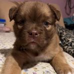 Kaden Page - Facebook