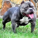 kaiden_pit_page - @kaiden_pit_page - Instagram