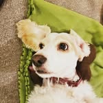 Kaiden Park - @ab2face - Instagram