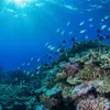 sailorb0y - @kaiden.patterson - TikTok