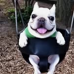 Kaiden Paul - @kaiden4659 - Instagram