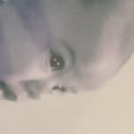 Kaiden L. Payne - @gcsy.kaidenpayne - Instagram