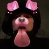 Kaiden Pearson - @imkaidenpearson - TikTok