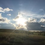 Kaiden Phillips - @kaiden.phillips.505 - Instagram