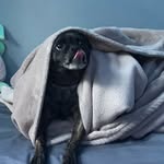 Kaiden powell - @kaiben76 - Instagram