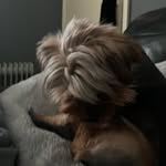 Kaiden powell Williams - @kaidenpowellwilliams - Instagram