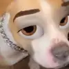 Kaiden Rivera845 - @kaidenrivera845 - TikTok