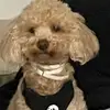Kaiden Rivera - @kaiden.rivera5 - TikTok