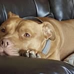 Kaiden Scott - Facebook