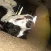 Kaiden Sharp - @kaiden_sharp222 - TikTok