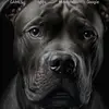 Kaiden Shields - @kaiden.shields - TikTok