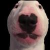 Kaiden Stephens868 - @kaidenstephens868 - TikTok