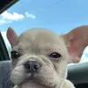 Kaiden Taylor - @kaidentay - TikTok