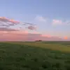 Kayden Thompson - @kayden_thompson420 - TikTok