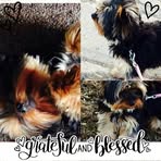 Kaiden Thomson - Facebook