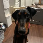 Kaiden Tran - Facebook