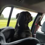 Kaiden Watts - Facebook