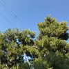 Keg - @kaiden.watts8 - TikTok