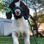 Kaiden Weaver - Facebook