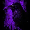 kaidenweaver - @thunder_gl1tch - TikTok