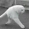 Kayden Welsh - @kayden.167 - TikTok