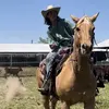 Kaden Willis - @kadenwillis09 - TikTok