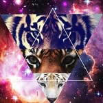 Kaiden - @kaiden_wolfe - Instagram