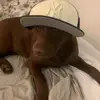 Kaiden - @kaidenwolfe9961 - TikTok