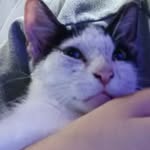 Kaiden Yates - @z0mbzxify - Instagram