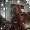 Kayla Decker - @kayladecker26 - TikTok