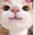 Kaila Lee - Facebook