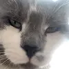 KailahSmith<3 - @kailahsmith - TikTok