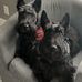 Colin Smith - Facebook