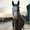 Kaylee Berg - @kaylee.berg3 - TikTok