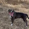 Kai - @kailee_sanchezzz - TikTok
